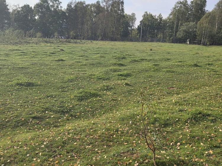 Teren de 4806 mp, în Dealu Negru