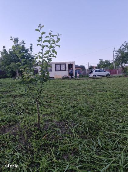 Teren de 740 mp, în Tomești