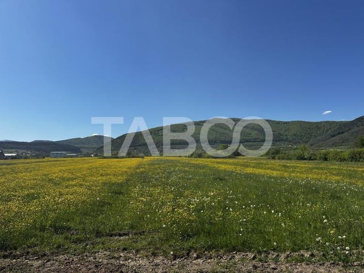 Teren agricol extravilan de 3000 mp, în Poplaca