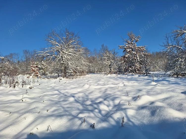Teren de 2880 mp, în Mustești