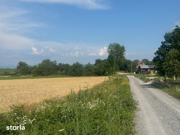 Teren de 3632 mp, în Viile Satu Mare