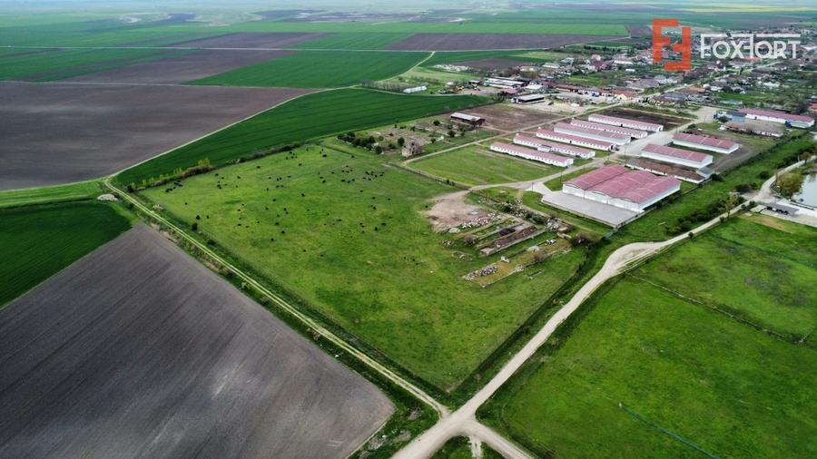 Teren Construcții intravilan de 58340 mp, în Sânmartinu Sârbesc