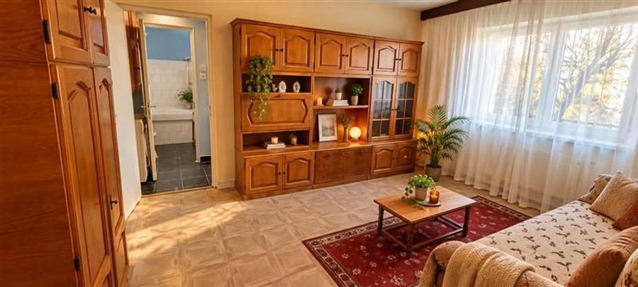 Apartament cu 2 camere semidecomandat, mobilat în Florilor