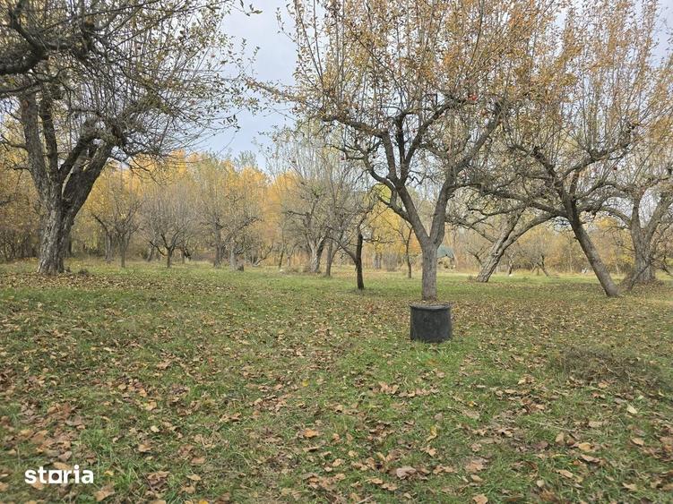 Casă cu 7 camere cu Teren 3800 Mp în Central