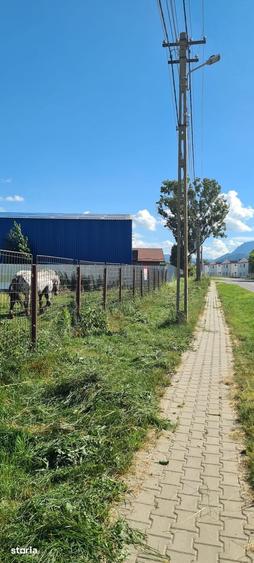 Teren comercial de vanzare, 4400 mp, acces asfaltat - 6