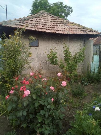 Casă cu 2 camere cu Teren 629 Mp în Sud
