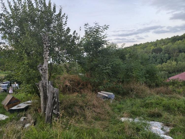 Casă cu 2 camere în Central