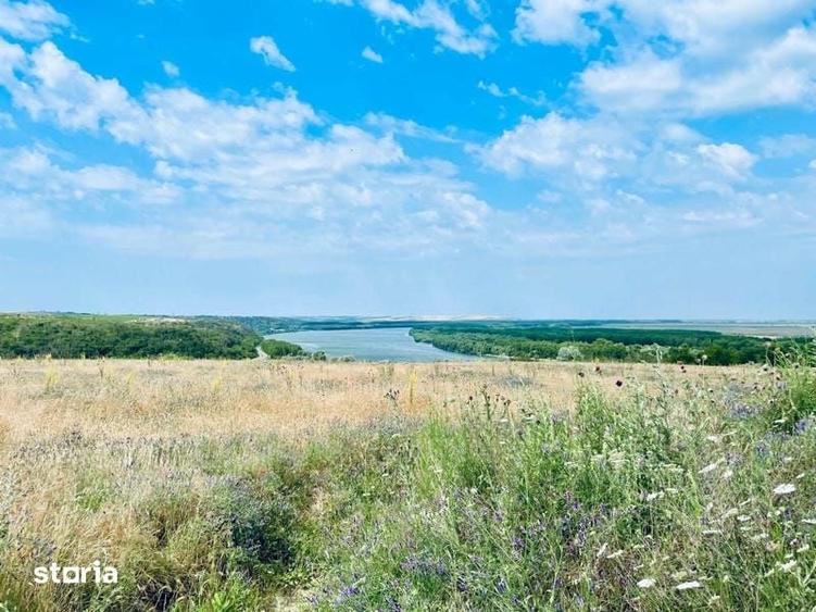 RASOVA Cochirleni Teren extravilan 38 Hectare comasat 100% - 7