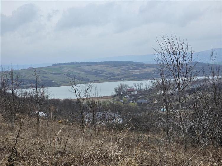 Teren Construcții intravilan de 9000 mp, în Ciurbești