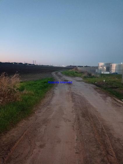 Teren de 8333 mp, în Sud