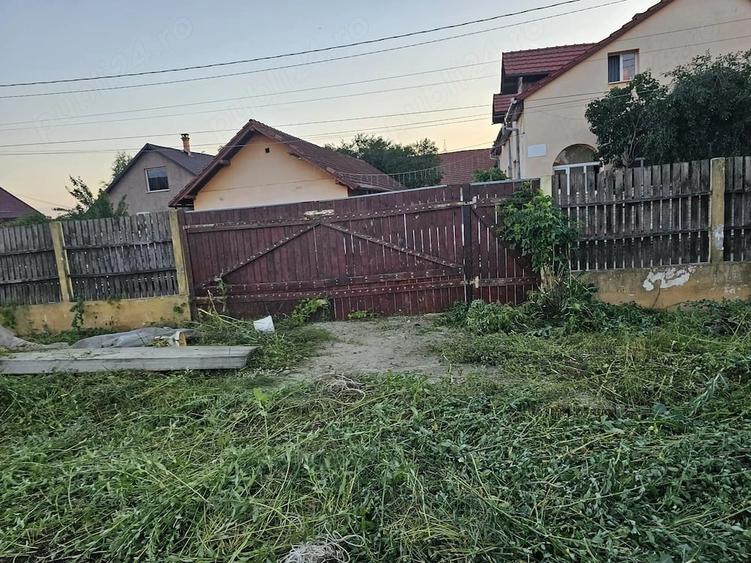 Teren de 2000 mp, în Băcia