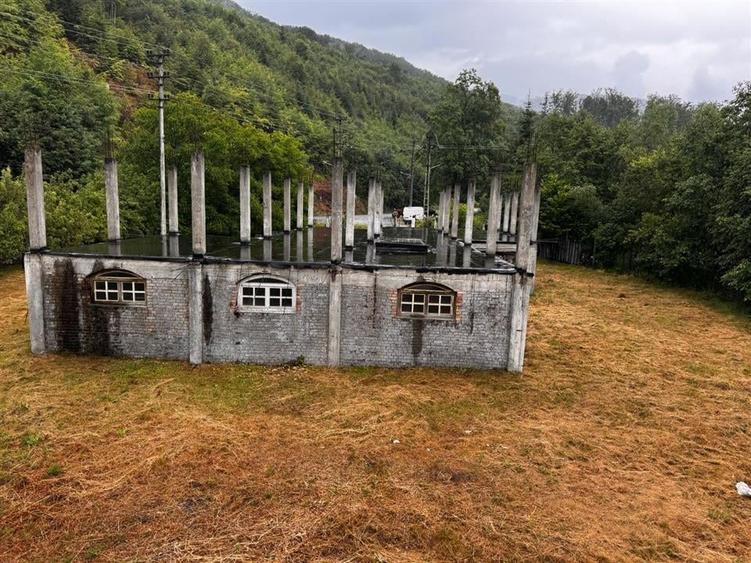 Hotel/Pensiune, de 300 mp, în Cârțișoara