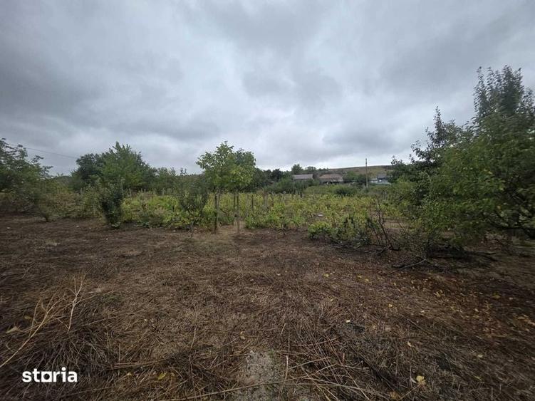 Casă cu 4 camere cu Teren 2400 Mp în Gorban