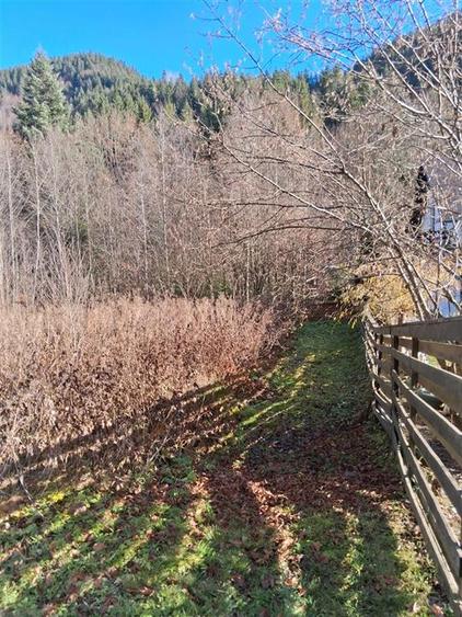 Vand teren in Brates, Neamt, cu iesire la raul Tarcau - 2