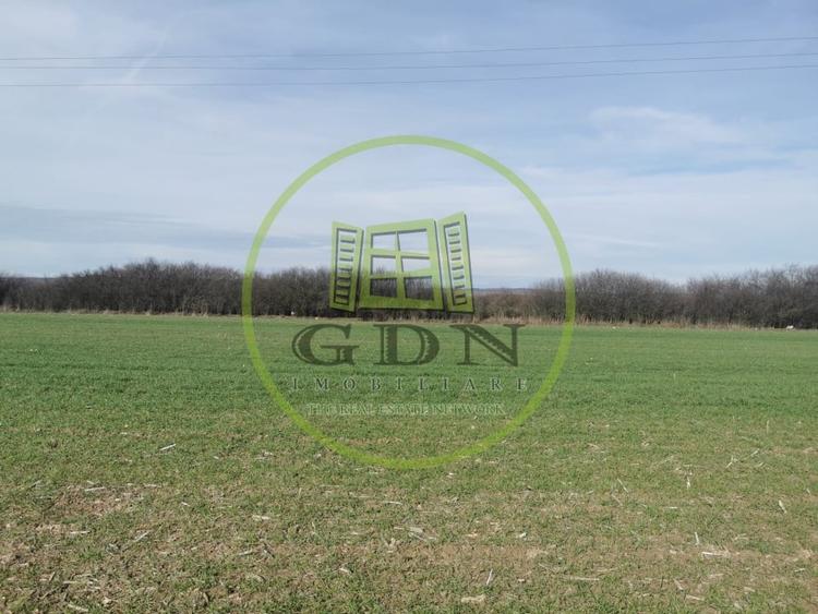 Teren agricol extravilan de 21496 mp, în Săcădat