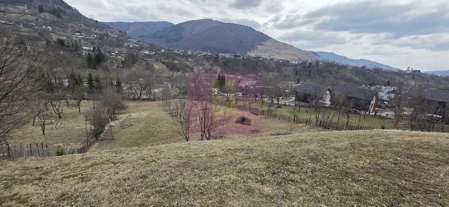 Teren de 2500 mp, în Valea Doftanei