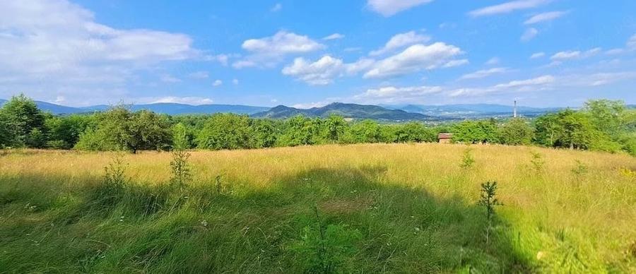 Teren de 18300 mp, în Bughea de Sus