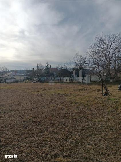 Teren de 3500 mp, în Bârnova