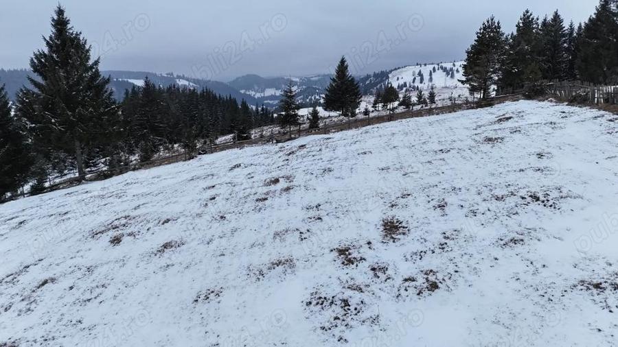 Teren extravilan de vanzare in Bucovina Breaza zona Paraul Negrei - 7