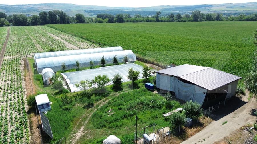 Teren agricol extravilan de 14068 mp, în Periferie
