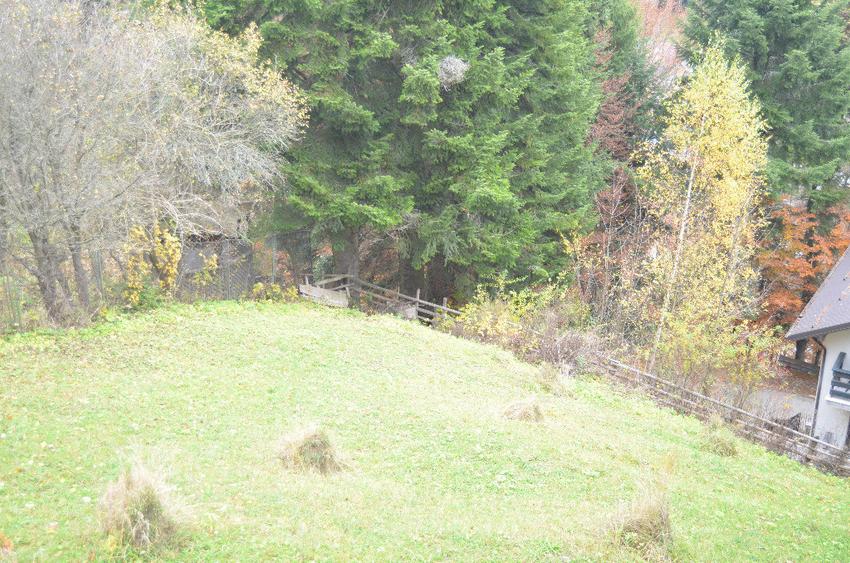 Teren de 1300 mp, în Valea Alba