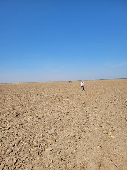 Teren agricol extravilan de 350000 mp, în Mereni