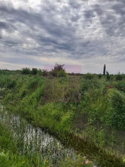 Teren de 9974 mp, în Corbeanca