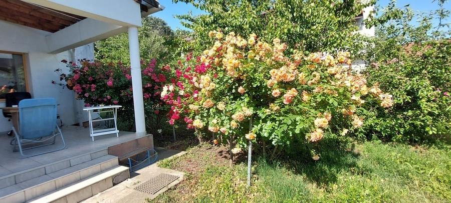 Casă cu 7 camere cu Teren 950 Mp în Săftica