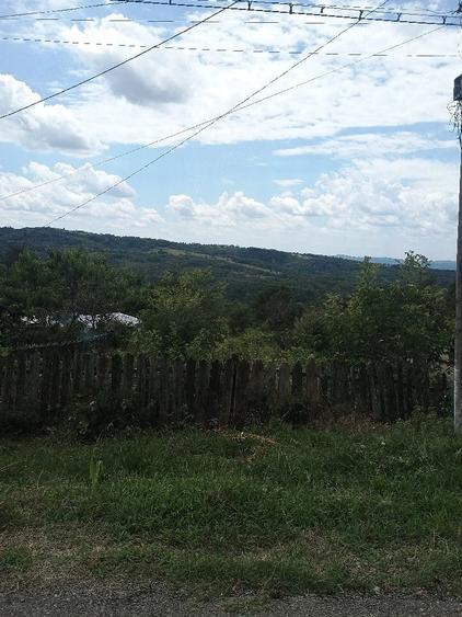 Teren de 1600 mp, în Siliștea
