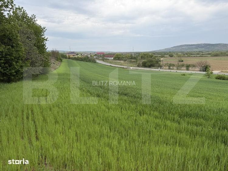 Teren intravilan, in localitatea Bobota in suprafata de 12.500 mp