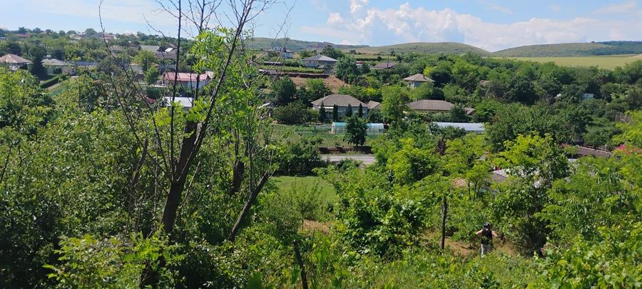 Teren Construcții intravilan de 3200 mp, în Somova