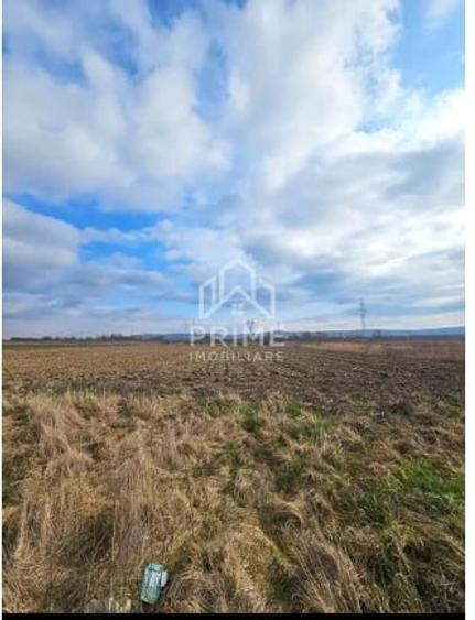 Teren de vanzare | 6400mp | Zona Centura Alba Iulia - 1