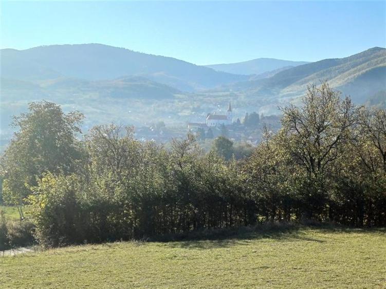 Teren agricol extravilan de 2455 mp, în Rășinari