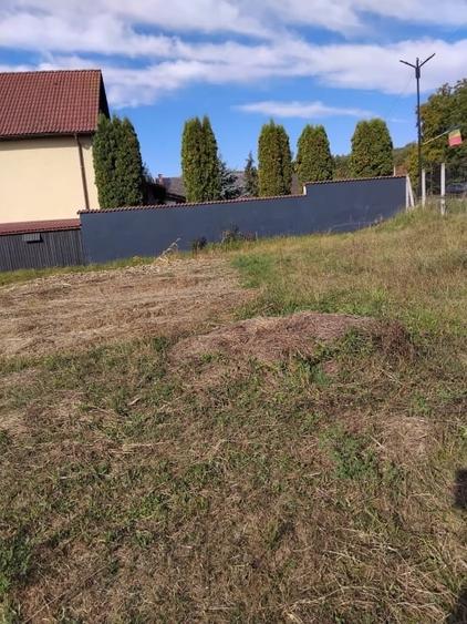 Teren Construcții intravilan de 2600 mp, în Livezile
