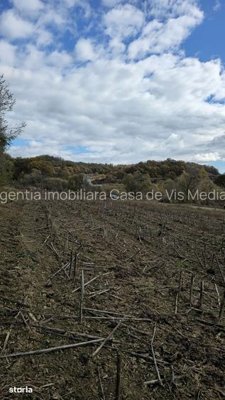 Teren intravilan in Media?, langa Hele?teu