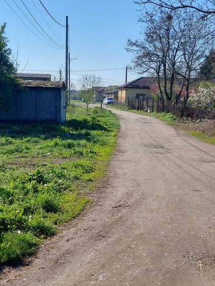 Teren în Bragadiru