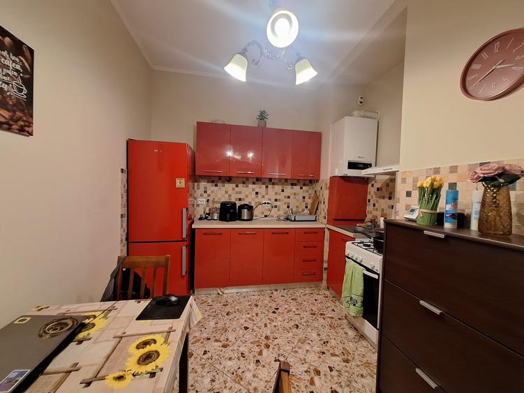 Apartament spatios cu 1 camera-complet renovat, mobilat si utilat-zona Traian - 9