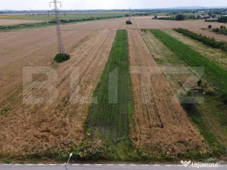 Teren de 1650 mp, în Răzvad