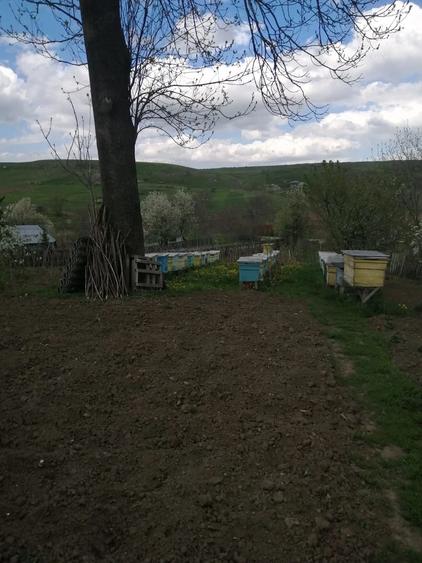 Casă cu 4 camere cu Teren 2290 Mp în Central