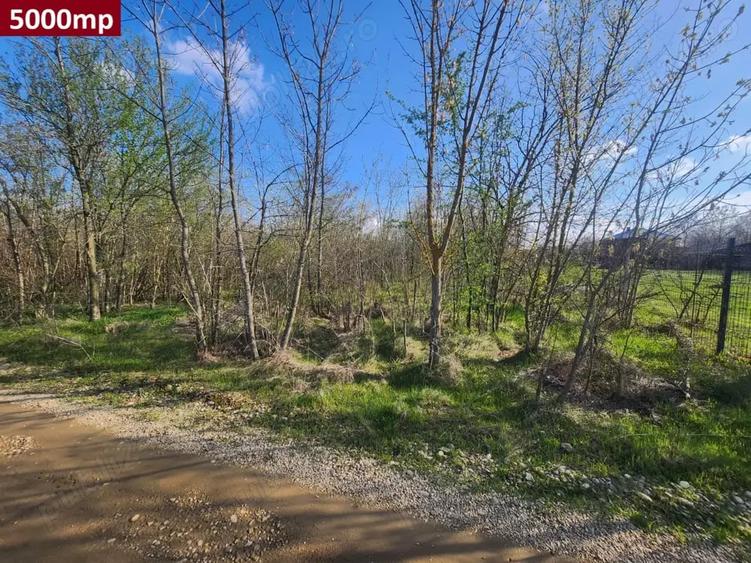 Teren de 1575 mp, în Bălteni