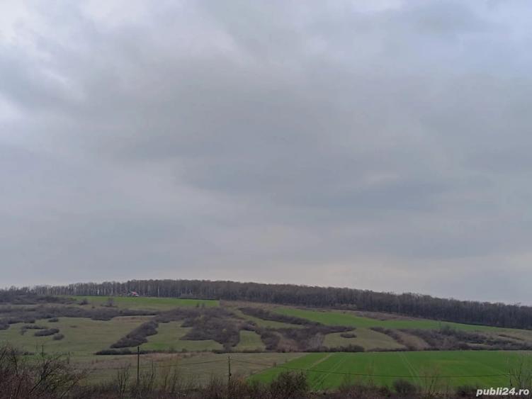 Teren de 5400 mp, în Central