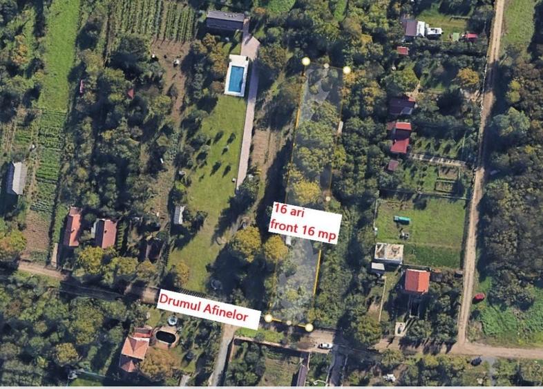 Teren Construcții extravilan de 1600 mp, în Bercu Roșu