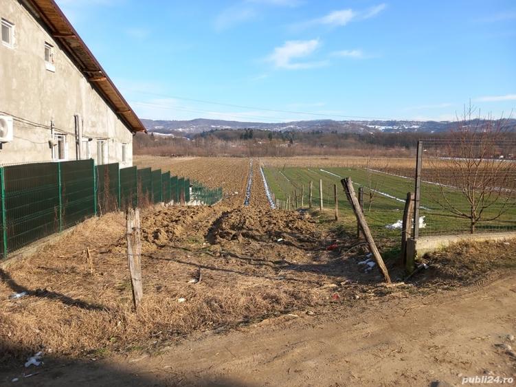 Teren în Mihăești