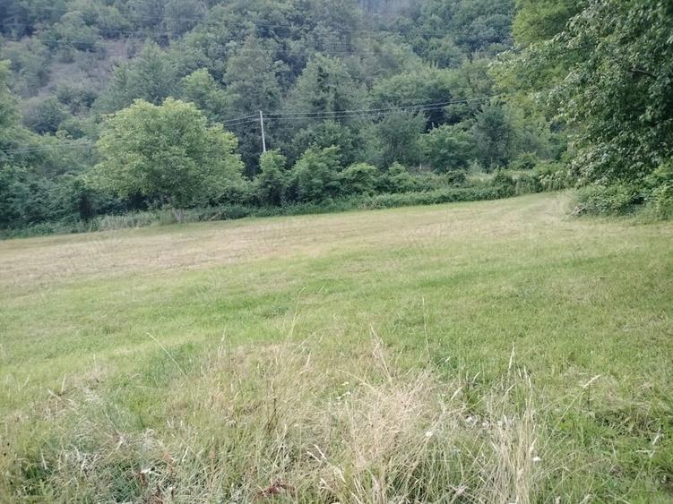 Teren de 3562 mp, în Vața de Sus