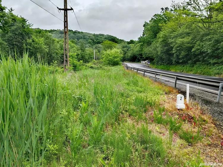 Teren de 4000 mp, în Veștem