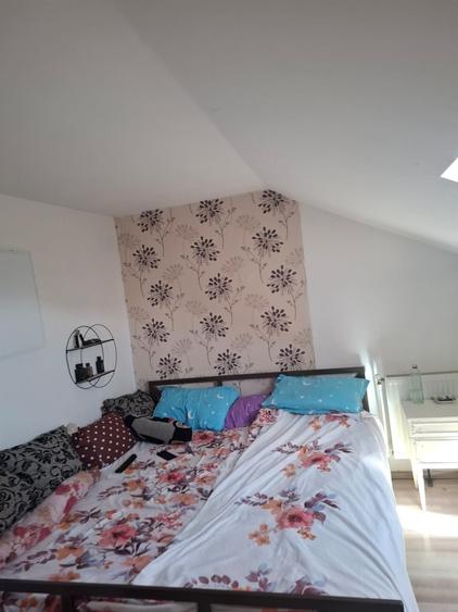 Apartament cu 3 camere decomandat în Viișoara