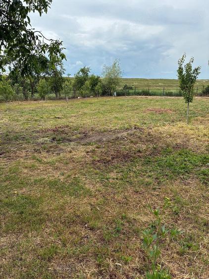 Casă cu 3 camere cu Teren 1645 Mp în Central