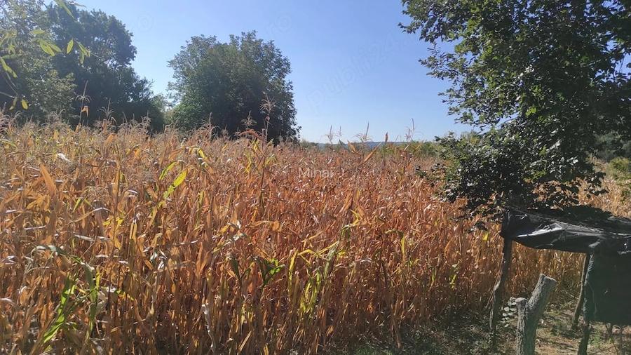 Teren de vanzare - excelent pentru investi?ie sau o proprietate intr-un cadru natural deosebit!