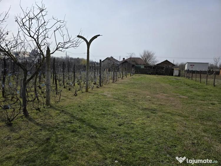 Casă cu 3 camere în Central