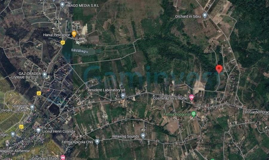 Teren Construcții intravilan de 1579 mp, în Săldăbagiu de Munte